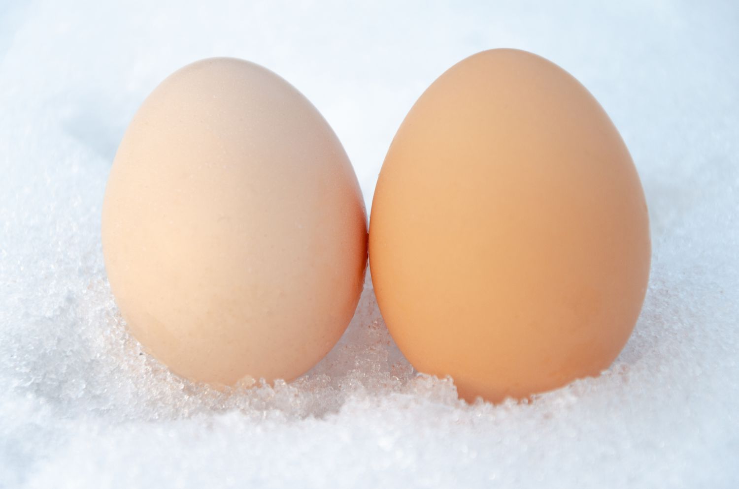 Beat High Egg Prices: Your Guide to Freezing Eggs